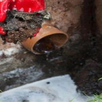Same Day Drain Unblocking 1